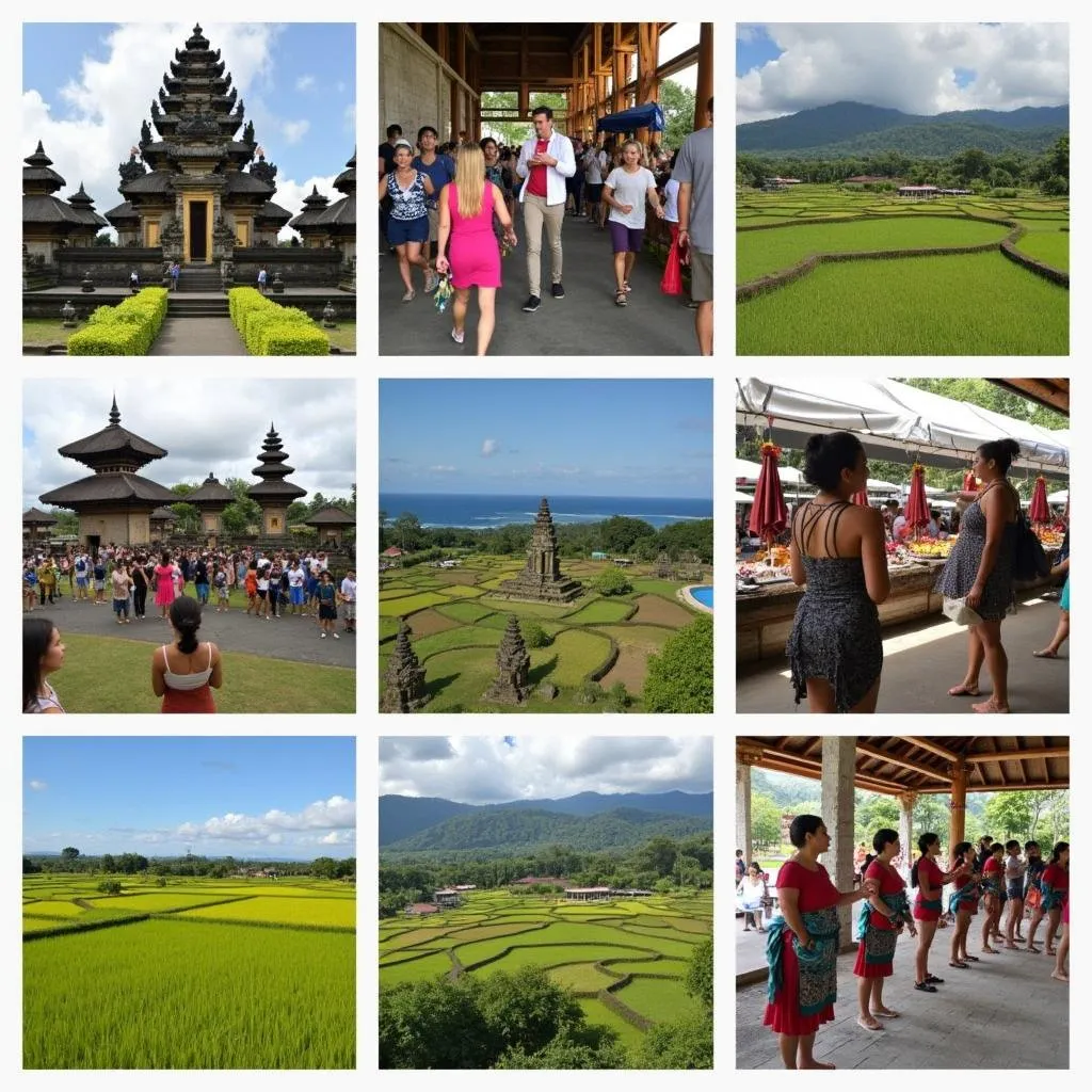 Bali Commercial Sightseeing Tour Options