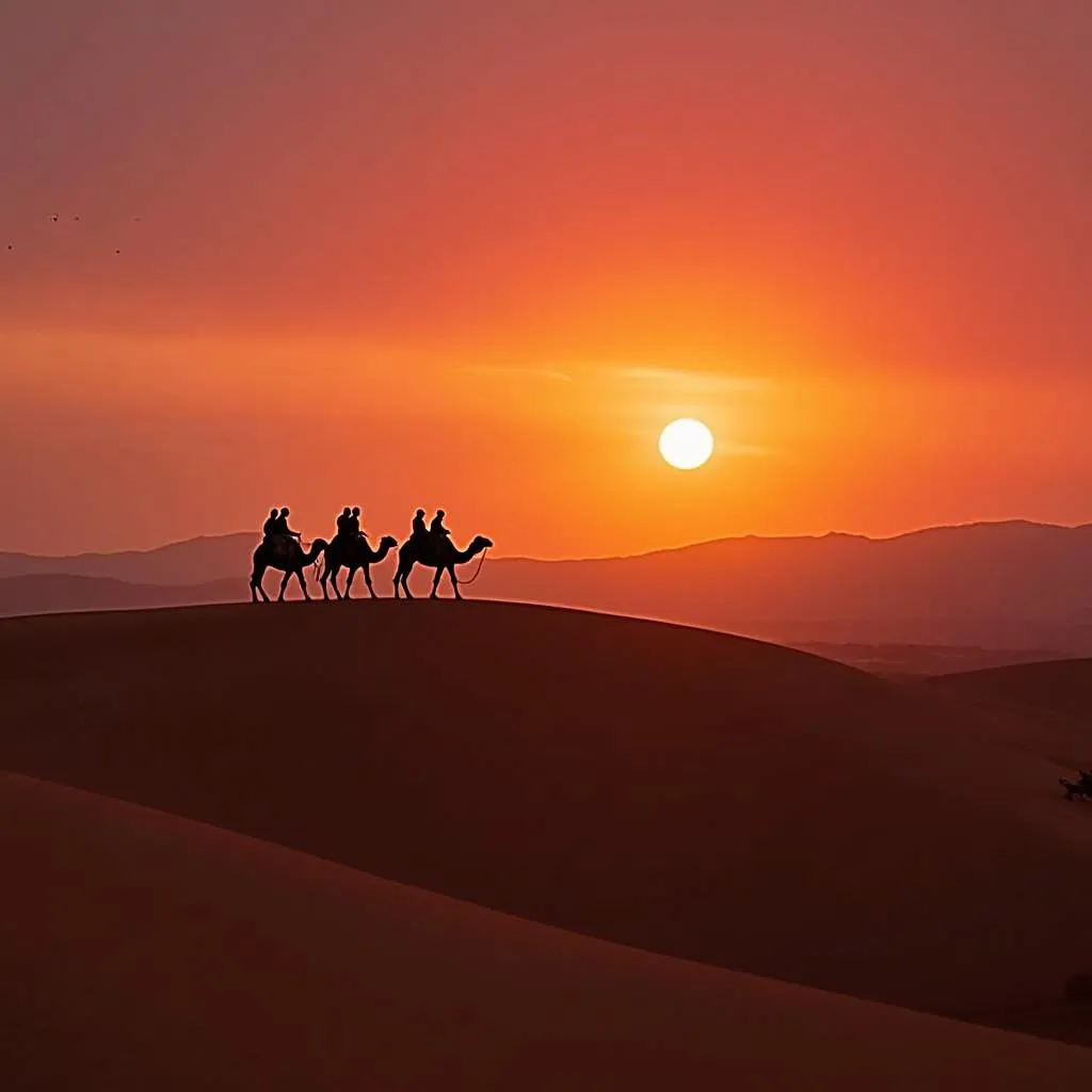 Camel Safari in the Rajasthan Desert at Sunset