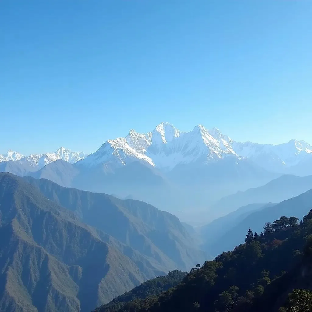 Panoramic View from Tiffin Top