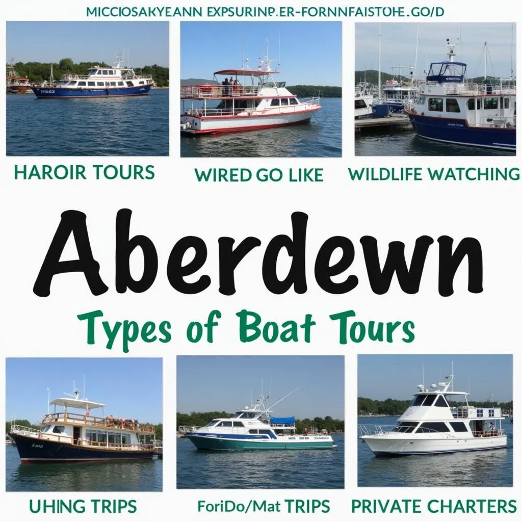 Types of Aberdeen Boat Tours