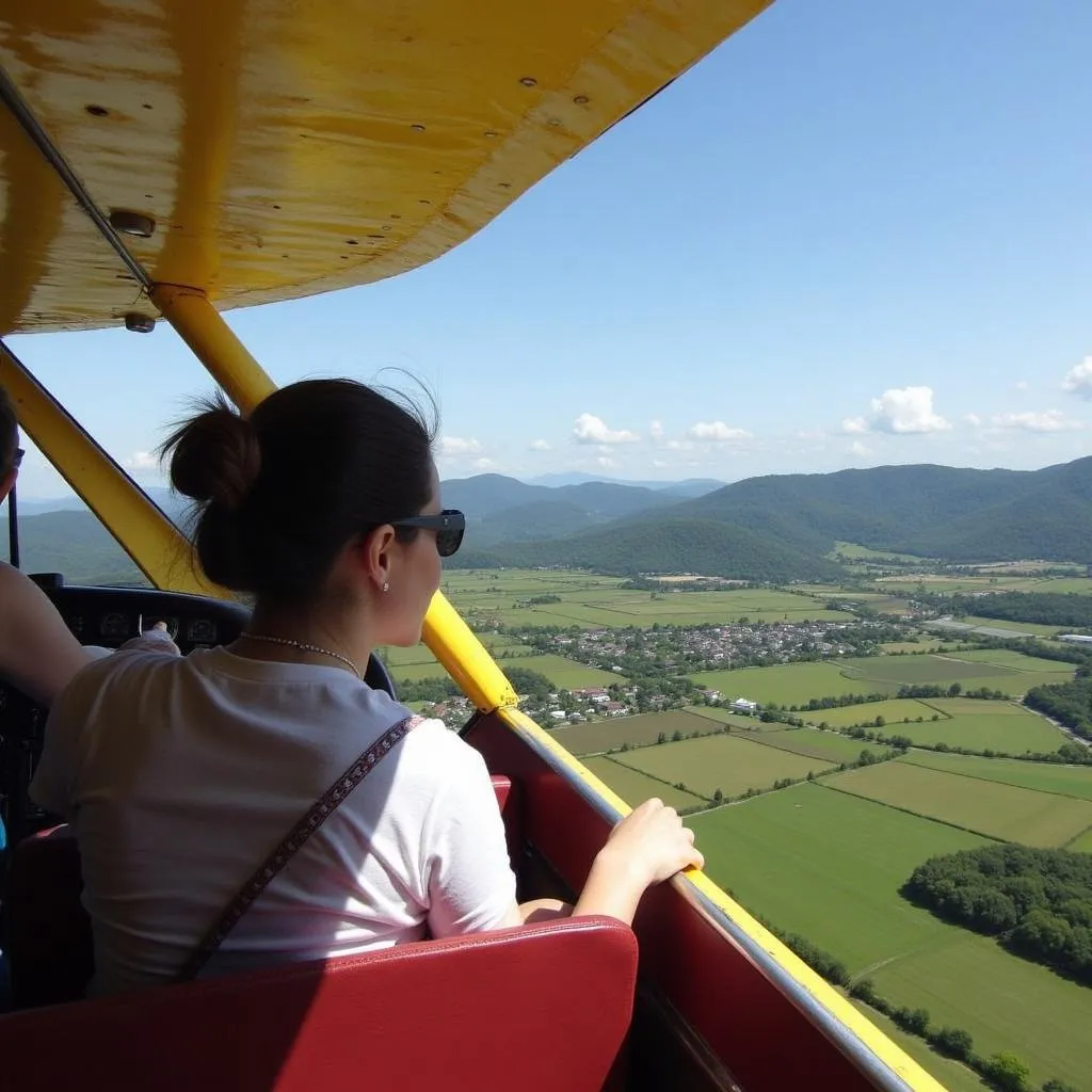 Biplane tour over Japanese countryside