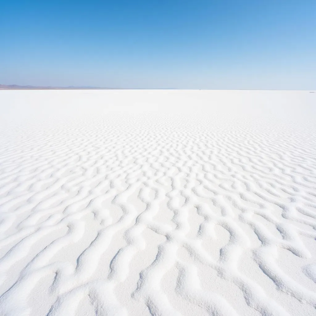 Vast salt desert landscape in Kutch