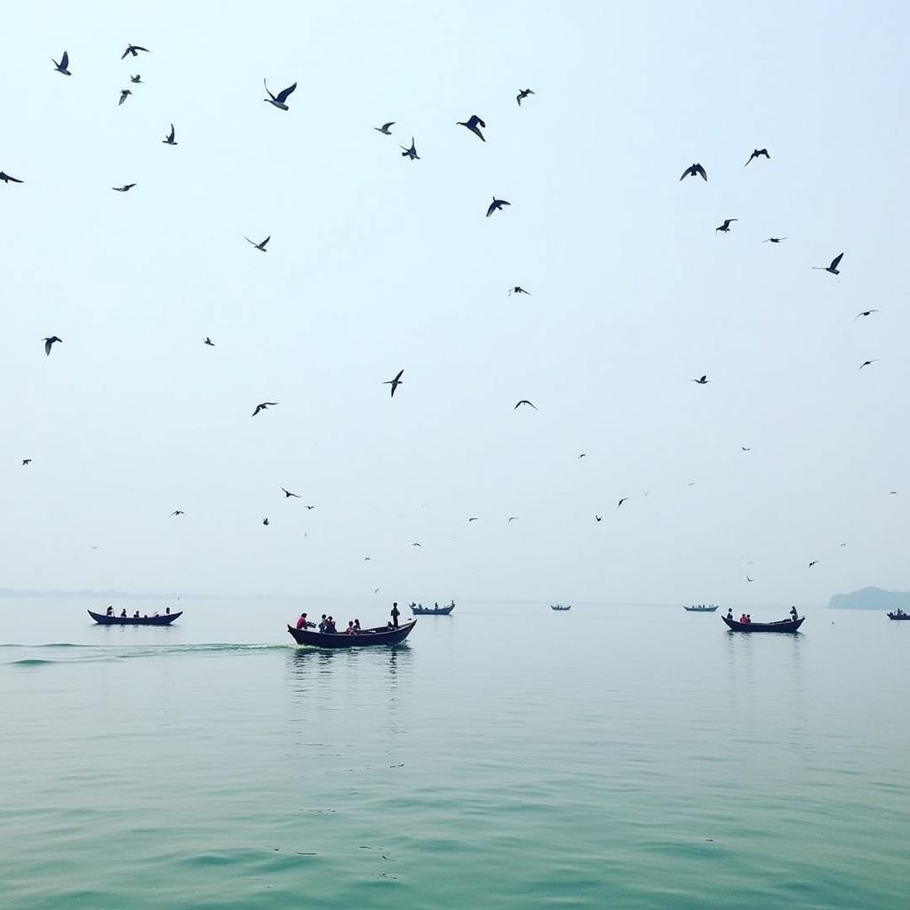 Chilika Lake: A Bird Watcher's Paradise in Odisha