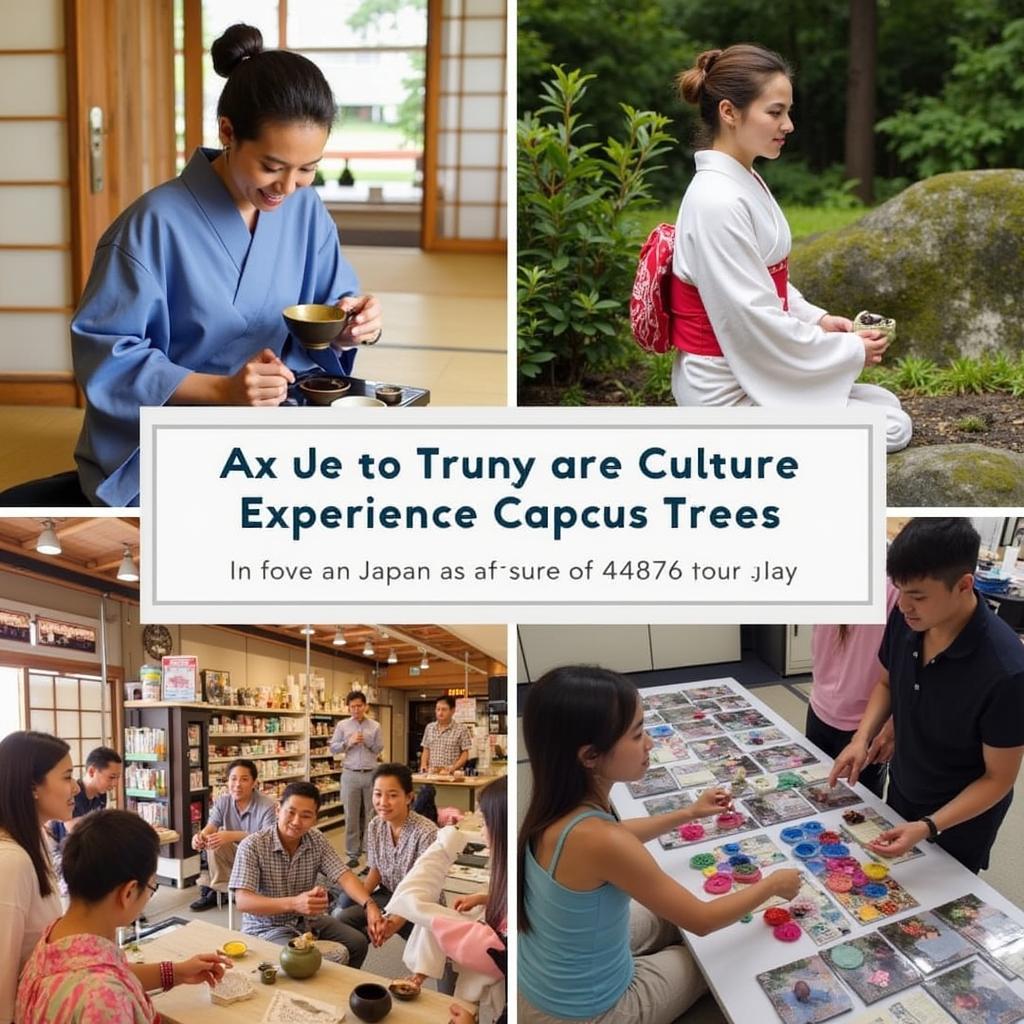 Immersive Cultural Experiences in Japan