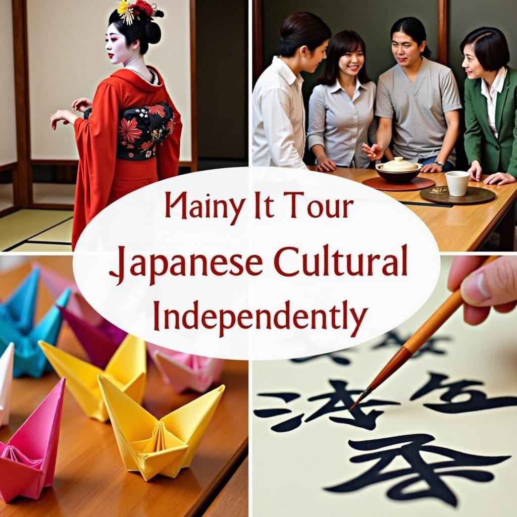 Immersive Japanese Cultural Experiences Beyond Ahmednagar Tours