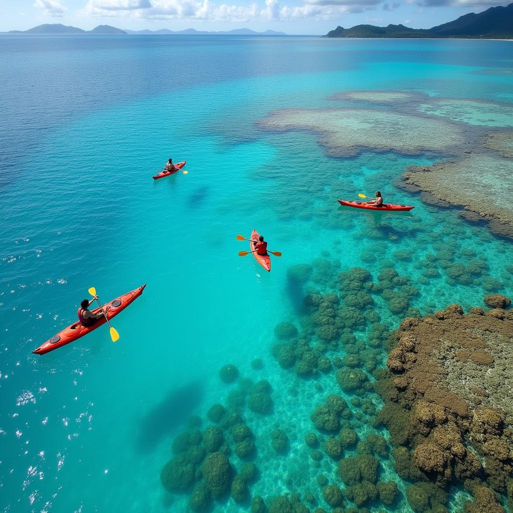 Kayaking in Okinawa's Coral Reef