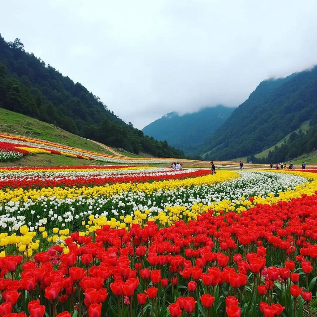 Yumthang Valley Flowers in North Sikkim Tour