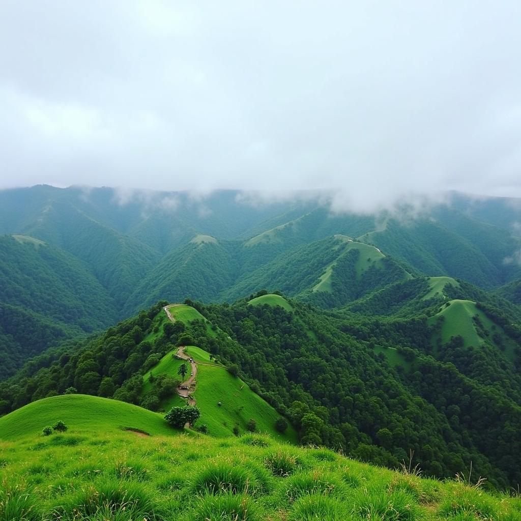 Scenic view of Ooty and Kodaikanal hill stations