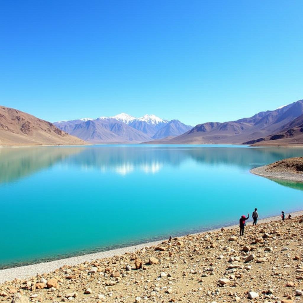 Pangong Tso Lake Ladakh Tour