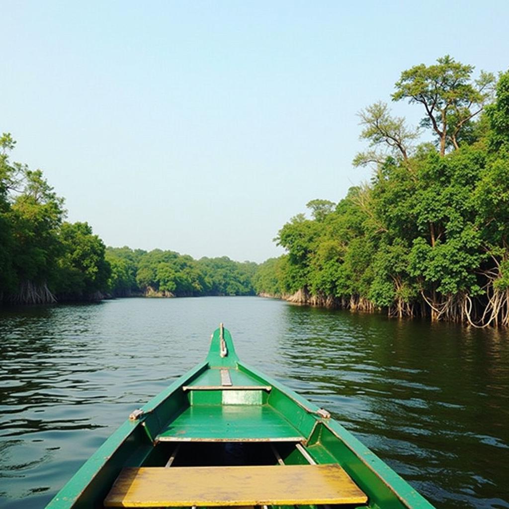 Exploring the Sundarbans Mangrove Forest by Boat - A Serene Journey Through Nature's Wonderland