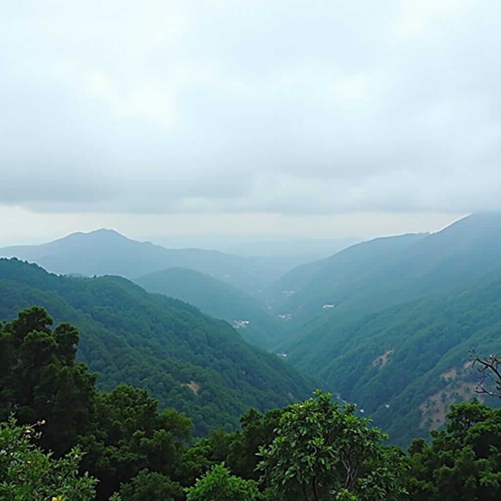 Scenic view of Mahabaleshwar hill station with lush greenery and valleys