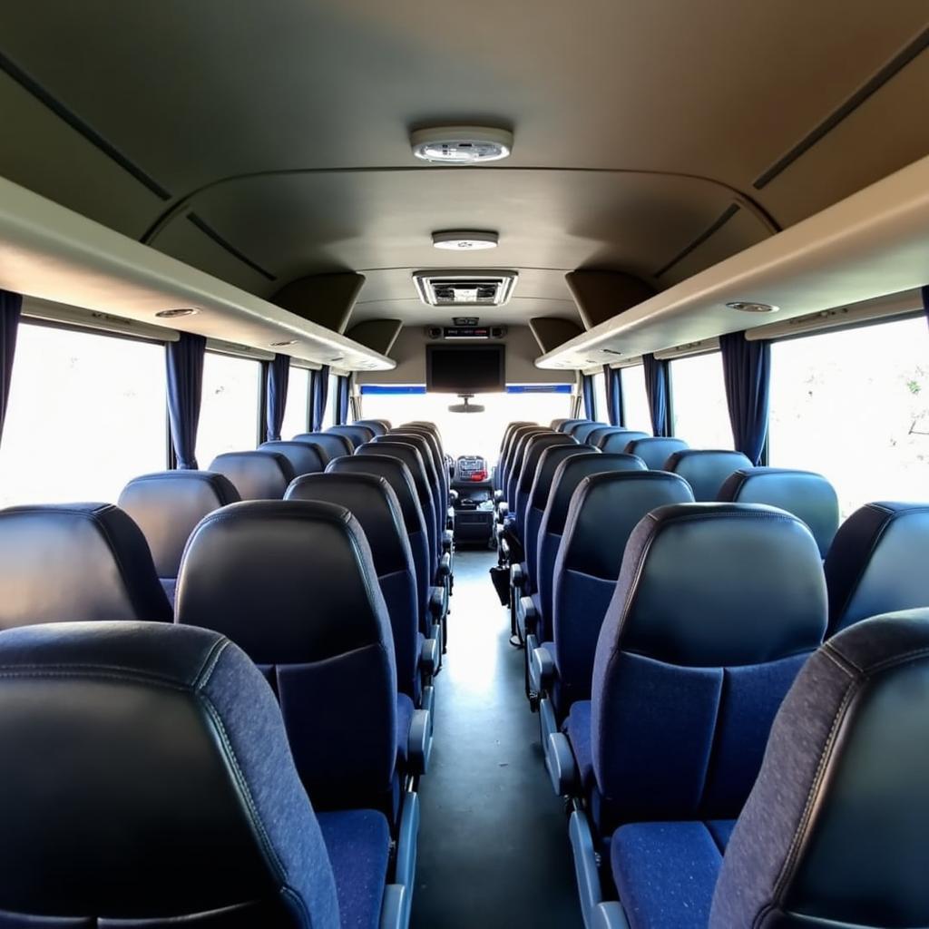 Comfortable Bus Journey with Patel Tours