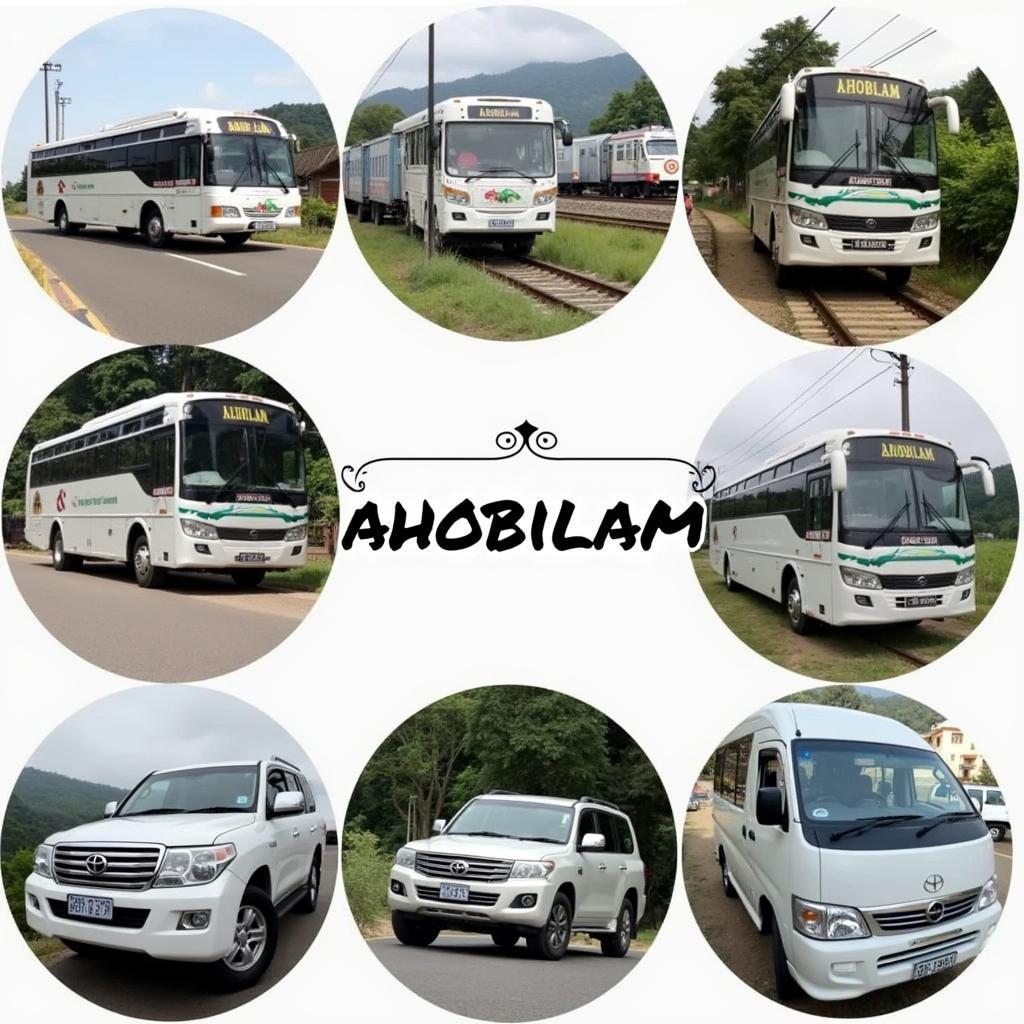 Transportation Options to Ahobilam