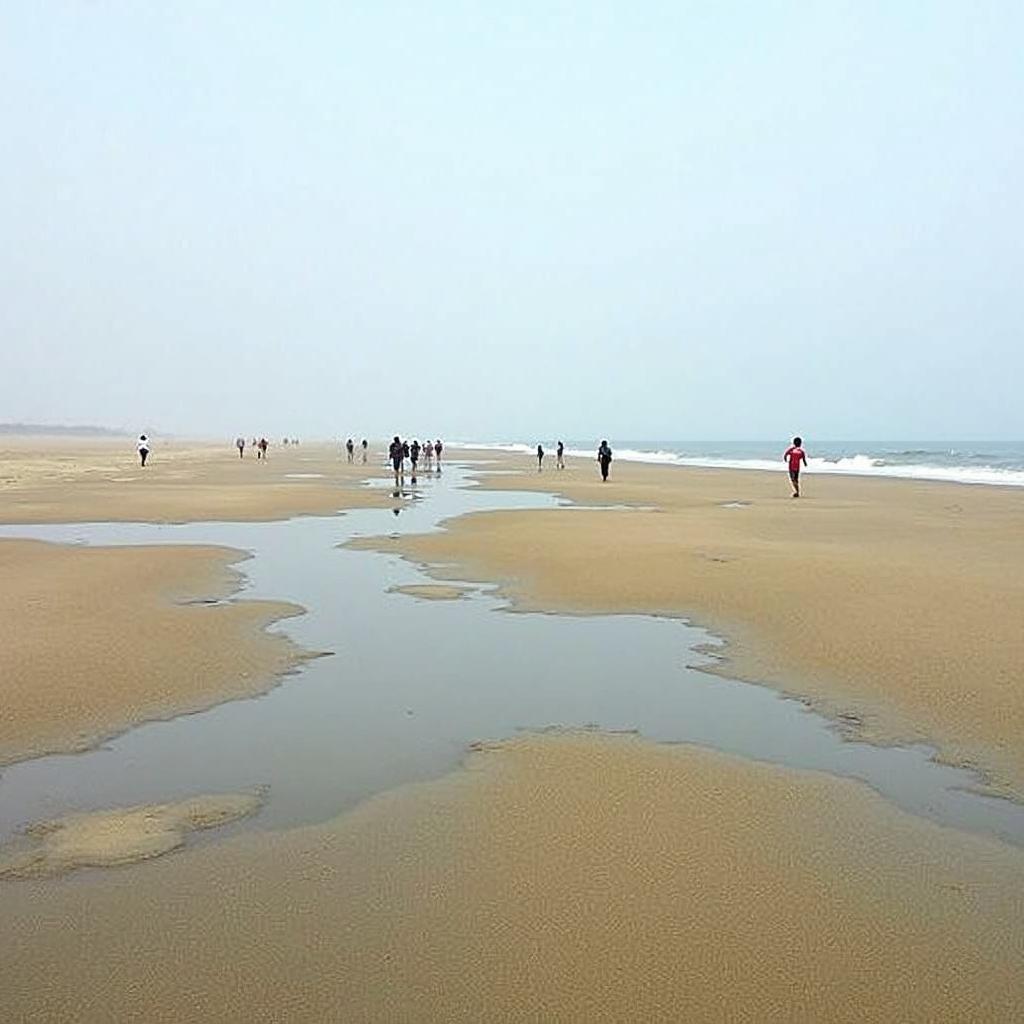 Chandipur Beach at Low Tide