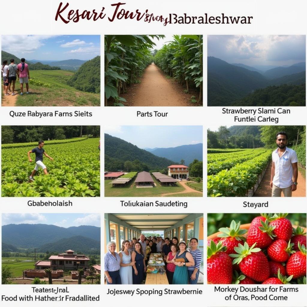 Kesari Tours Mahabaleshwar Package Highlights