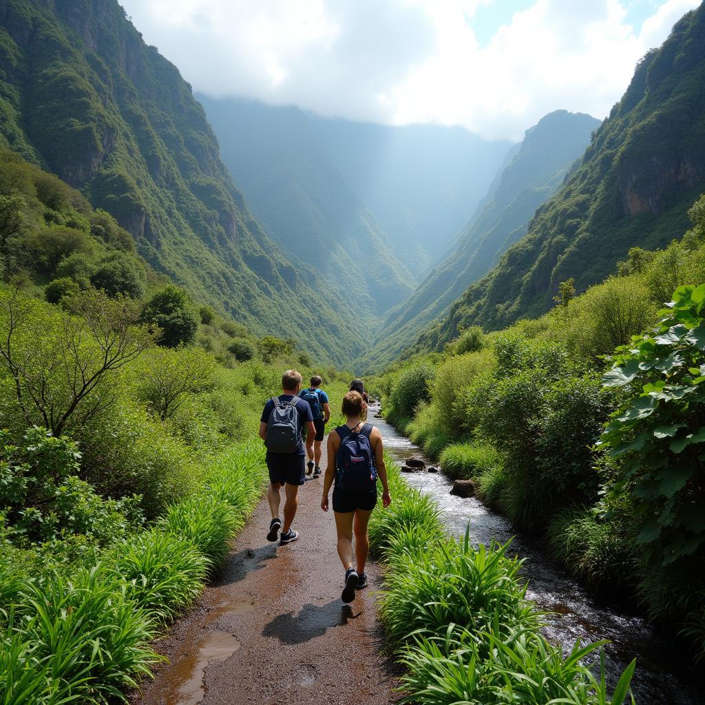 Hiking along Madeira's levadas: Lush green scenery and stunning views.