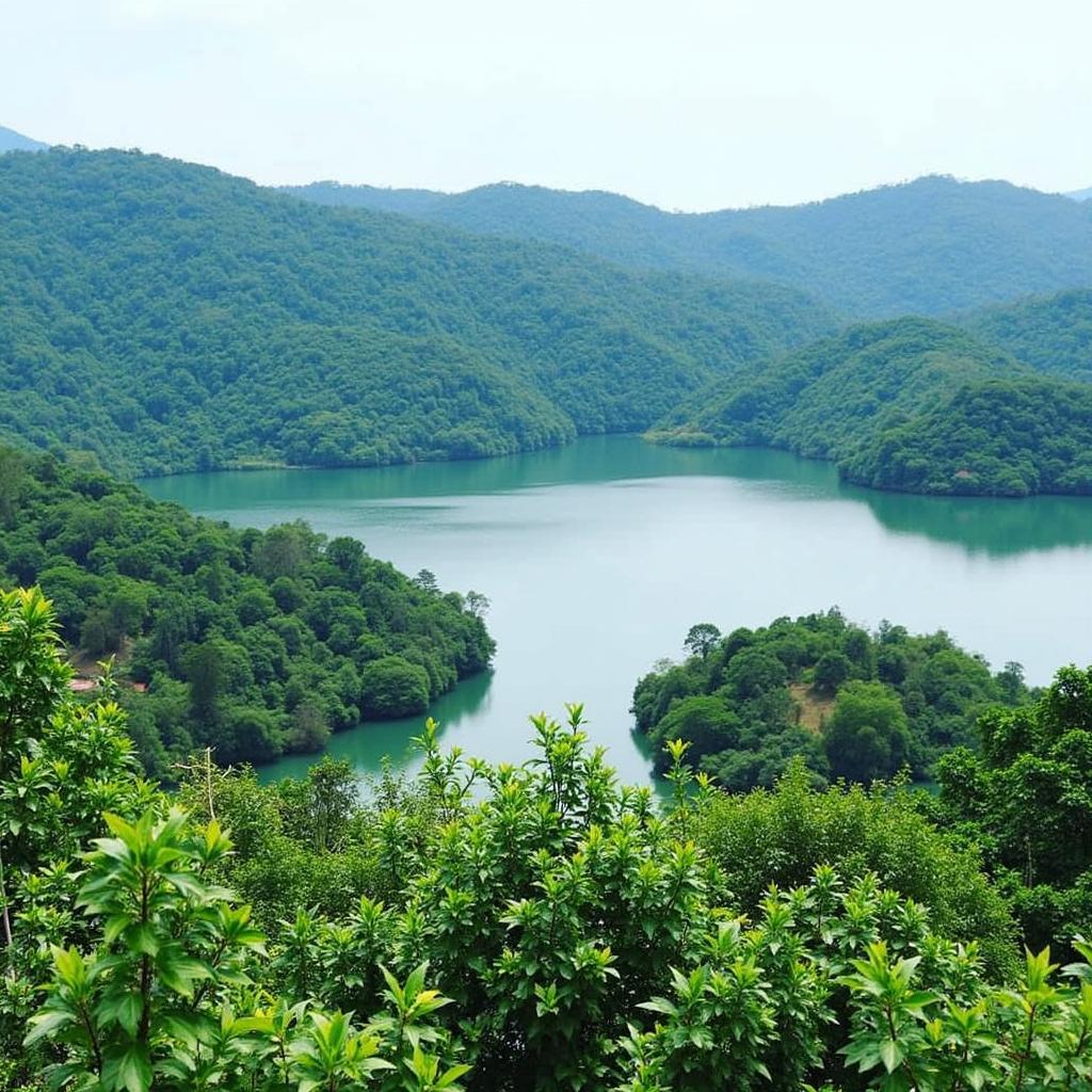 Neyyar Dam Trivandrum Tour