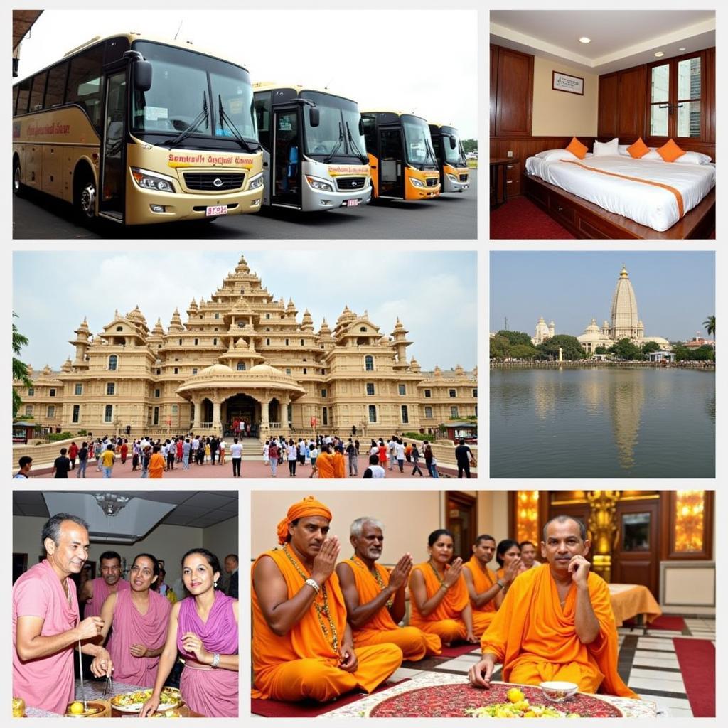 Tirupati Tour Package Options