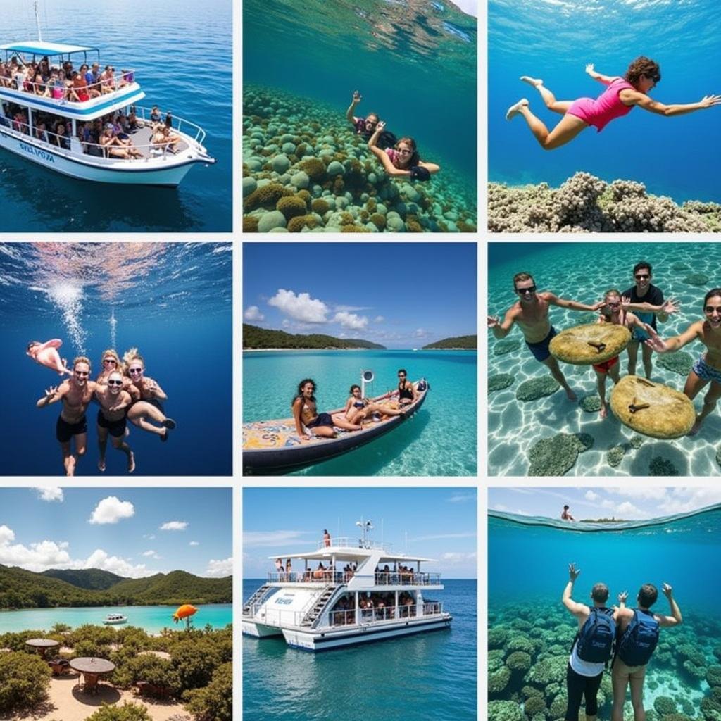 Diverse Tour Options for a Two-Day Great Barrier Reef Trip from Cairns