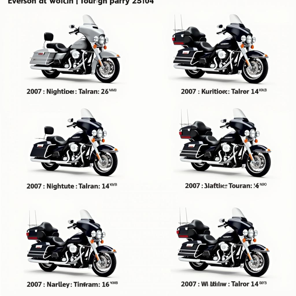 2007 Harley Touring Models: Road King, Street Glide, Electra Glide