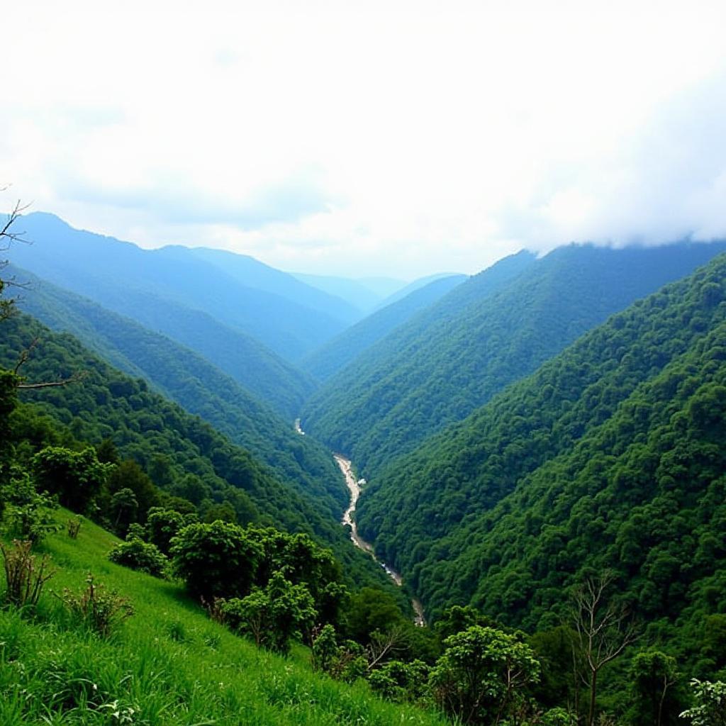 Dehradun Valley View