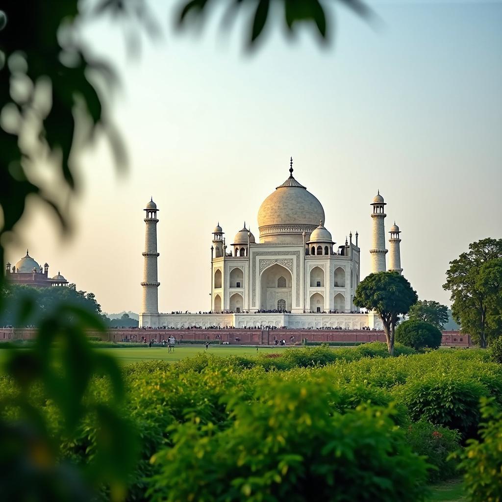 Mehtab Bagh with Taj Mahal View