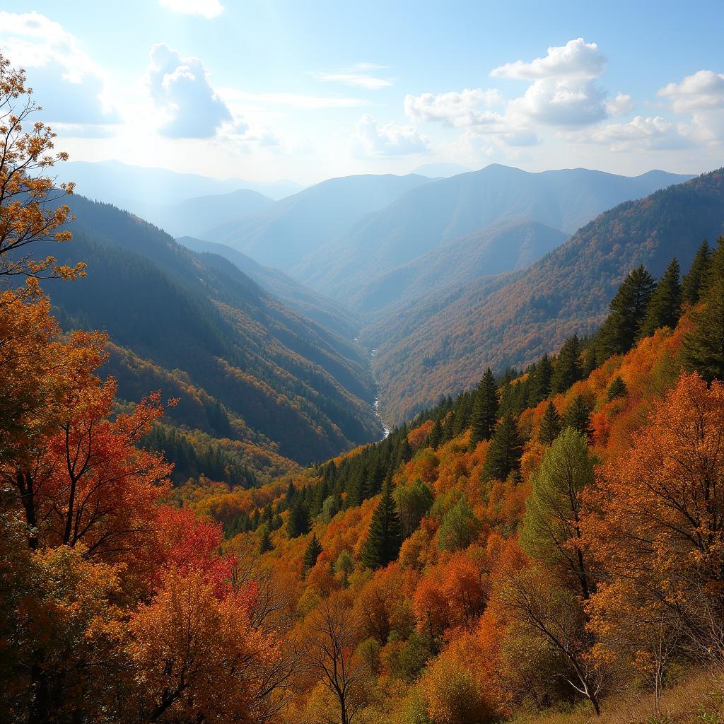 Autumn Landscape in Shillong Meghalaya