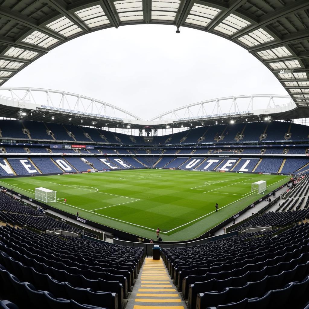 Tottenham Hotspur Stadium Tour Pitch View